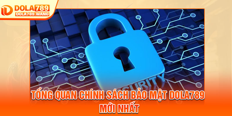 Chính Sách Bảo Mật Dola789 – Cam Kết An Toàn Thông Tin 1 Tổng quan chính sách bảo mật Dola789 mới nhất