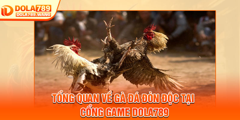 Gà Đá Đòn Độc – Từng Pha Ra Đòn Quyết Định Trận Cầu 2 Tổng quan về gà đá đòn độc tại cổng game dola789
